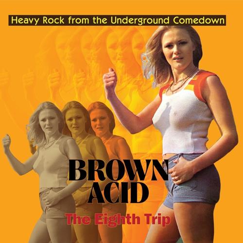 Diverse Artister Brown Acid - The Eight Trip (LP)