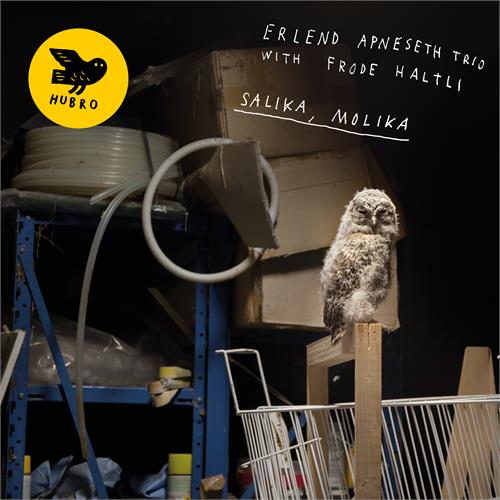 Erlend Apneseth Trio Salika, Molika (LP)