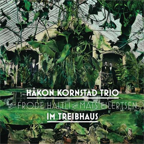 Håkon Kornstad Trio Im Treibhaus (LP)