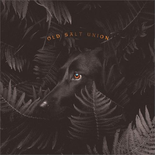 Old Salt Union Where The Dogs Don’t Bite (LP)