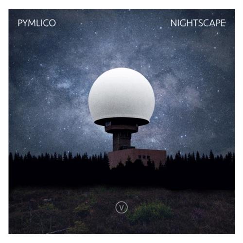 Pymlico Nightscape (LP)