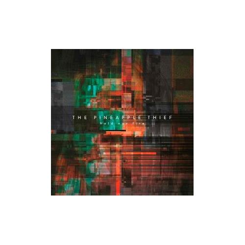 The Pineapple Thief Hold Our Fire (LP)