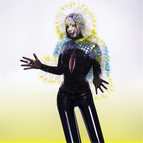 Björk Vulnicura (MC)