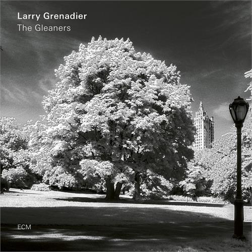 Larry Grenadier Gleaners (LP)