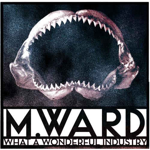 M. Ward What a Wonderful Industry (LP)