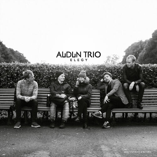Audun Trio Elegy (LP)