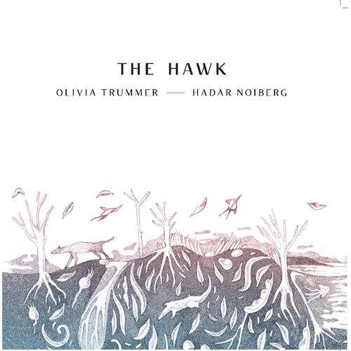 Olivia Trummer / Hadar Noiberg Hawk (LP)