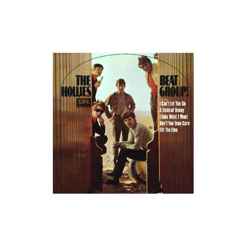 The Hollies Beat Group! - Mono (LP)