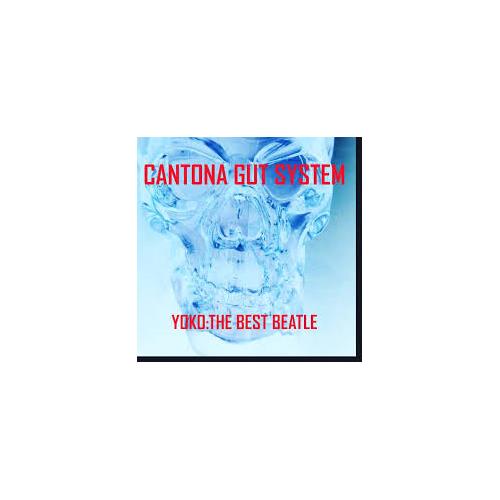 Cantona Gut System Yoko: The Best Beatle (LP)