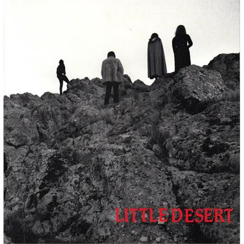 Little Desert Ashes (7")