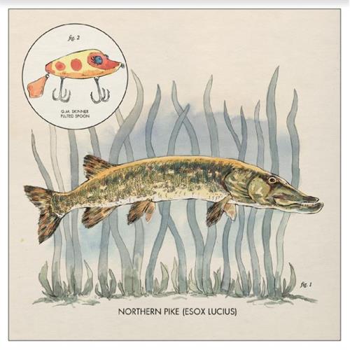 Nick Lowe Lay It On Me EP (LP)