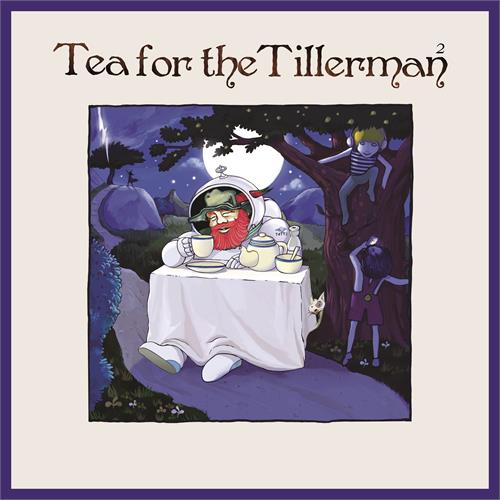Yusuf/Cat Stevens Tea For The Tillerman² - Reimagined (LP)