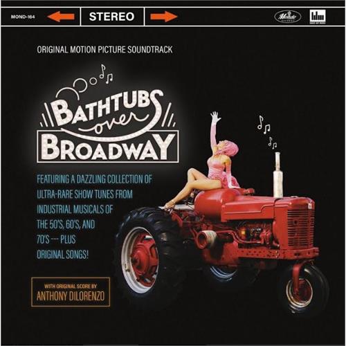 Anthony DiLorenzo/Soundtrack Bathtubs Over Broadway OST (2LP)
