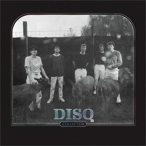 Disq Collector (LP)