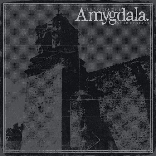 Amygdala Our Voices Will Soar Forever (LP) 