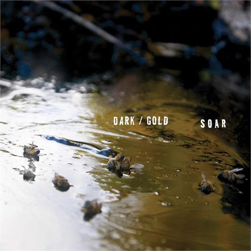 Soar Dark / Gold (LP)