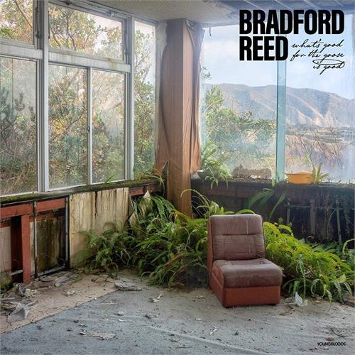 Bradford Reed What's Good For The Goose Is Good (LP)
