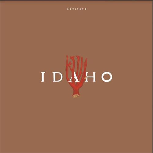 Idaho Levitate (LP)