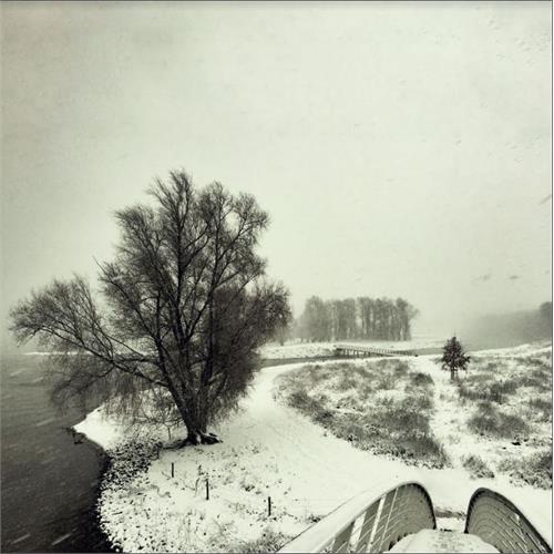 Beequeen Winter (LP)