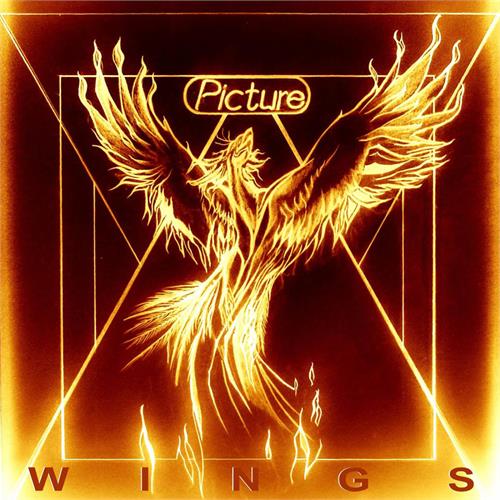 Picture Wings (LP)