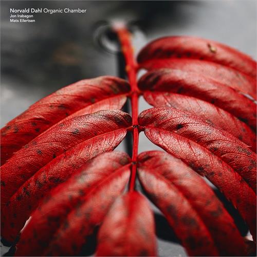 Norvald Dahl Organic Chamber (LP)