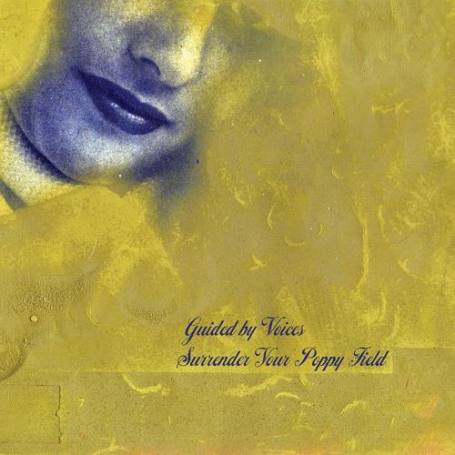 Guided By Voices Surrender Your Poppy Field (LP)