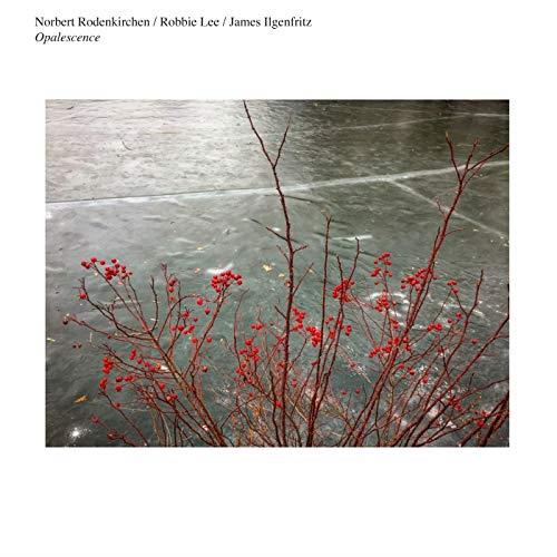 N. Rodenkirchen/R. Lee/J. Ilgenfritz Opalescence (LP)