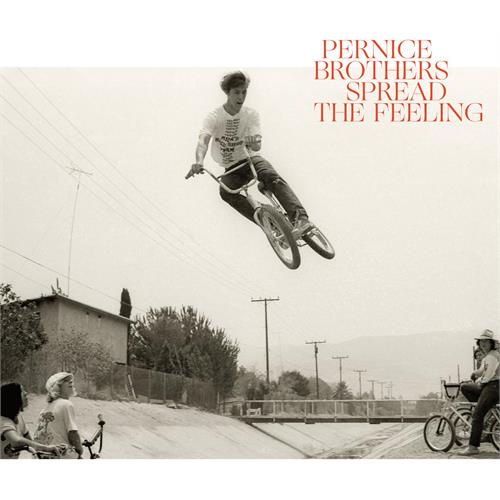 Pernice Brothers Spread The Feeling - LTD (LP)