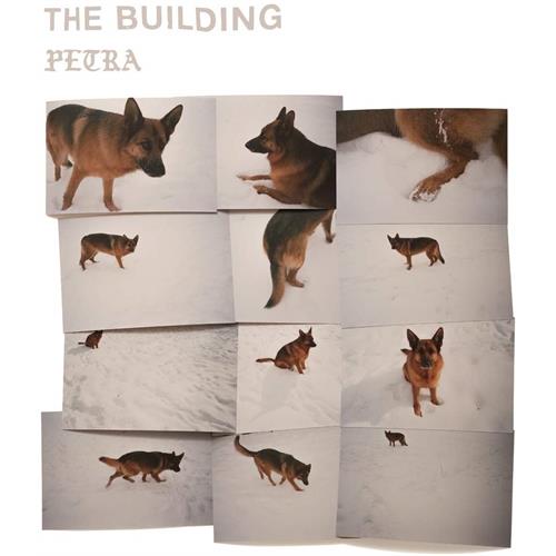 The Building Petra (LP)