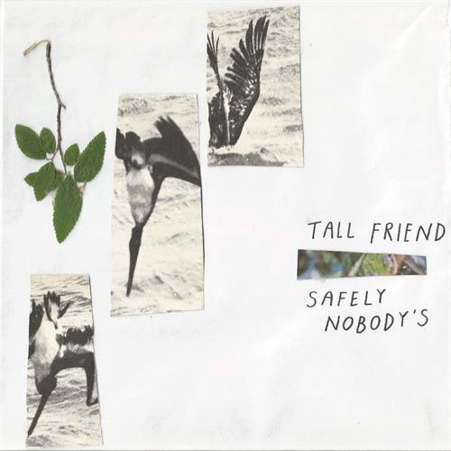 Tall Friend Safely Nobody's (LP)