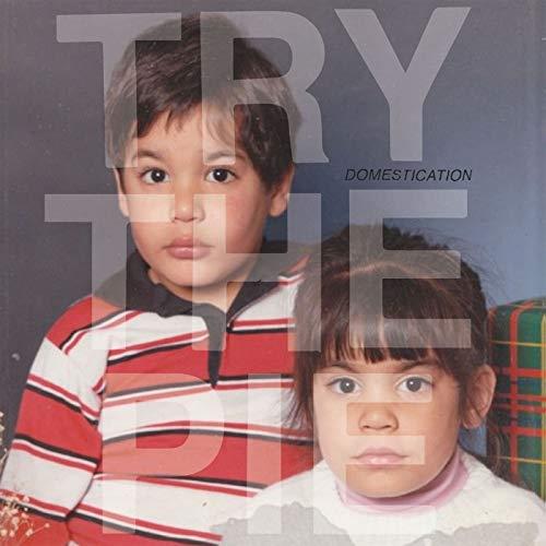 Try The Pie Domestication (LP)