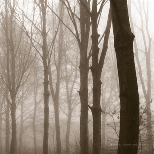Blueneck Scars Of The Midwest (LP) 