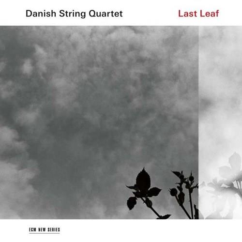 Danish String Quartet Last Leaf (LP)