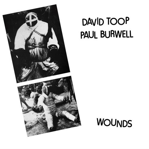 David Toop/Paul Burwell Wounds (LP)