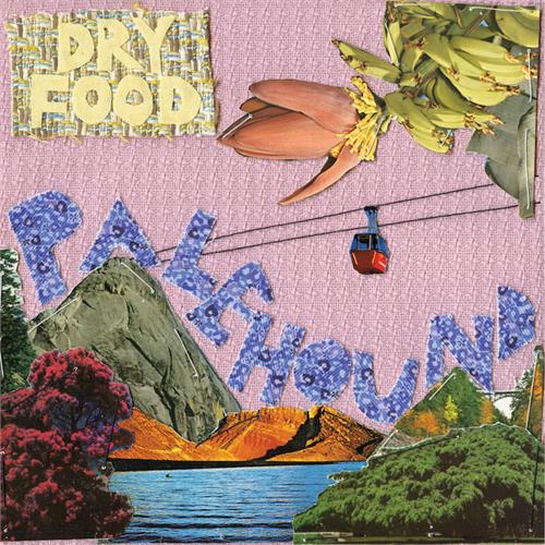 Palehound Dry Food (LP)