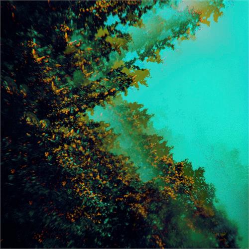 Polymoon Caterpillars Of Creation (LP) 