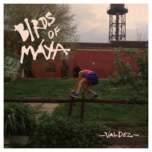 Birds Of Maya Valdez (LP)