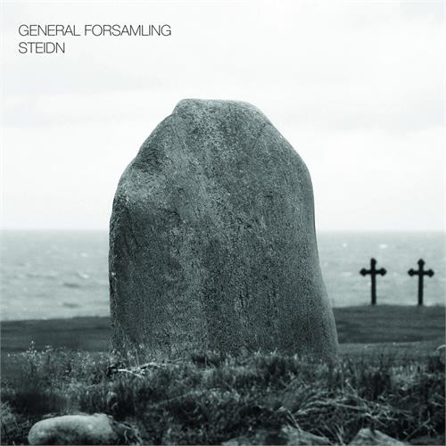 General Forsamling Steidn (LP)