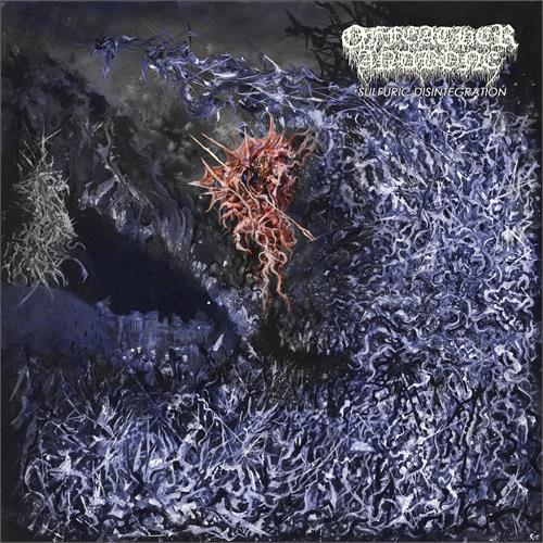 Of Feather And Bone Sulfuric Disintegration (LP)