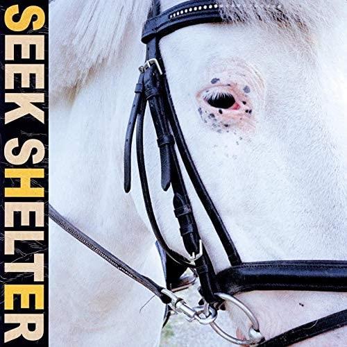 Iceage Seek Shelter - LTD (LP)