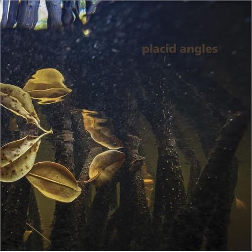 Placid Angels Touch The Earth (3 x 12")