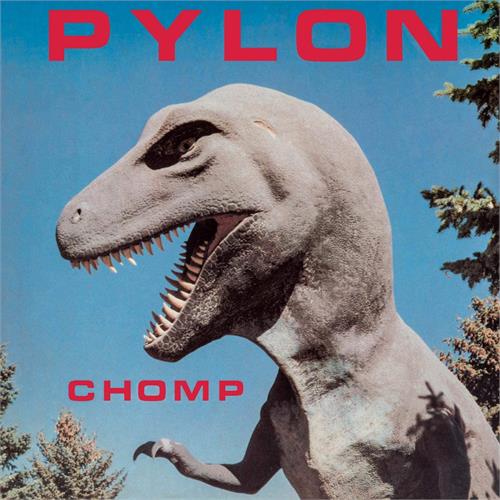 Pylon Chomp (LP) 
