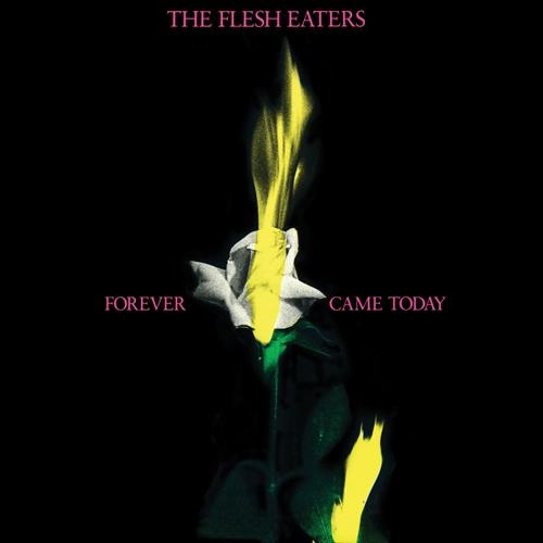 The Flesh Eaters Forever Came Today (LP)