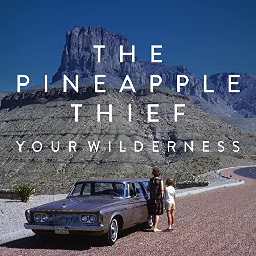 The Pineapple Thief Your Wilderness (LP)