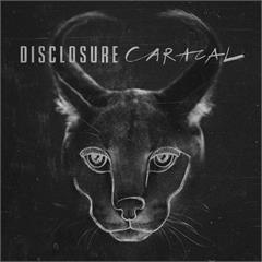 Disclosure Caracal (LP)