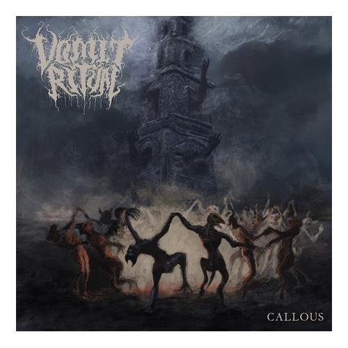 Vomit Ritual Callous (LP)