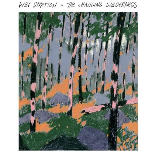 Will Stratton The Changing Wilderness (LP)