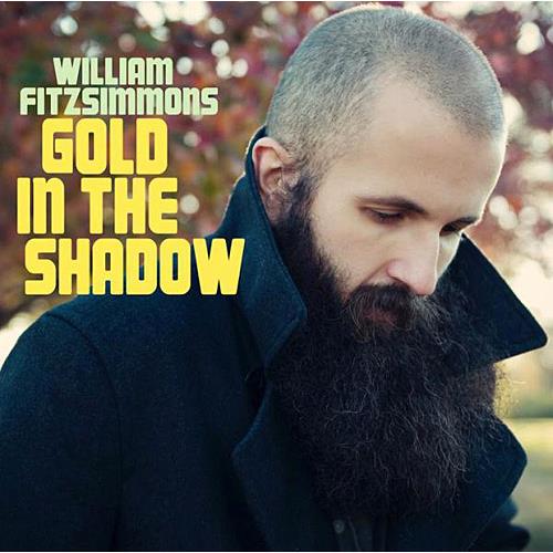 William Fitzsimmons Gold In The Shadow (LP) 