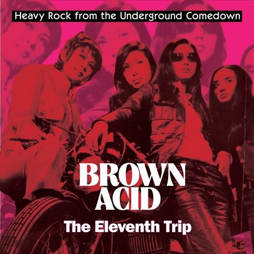 Diverse Artister Brown Acid - The Eleventh Trip (LP)