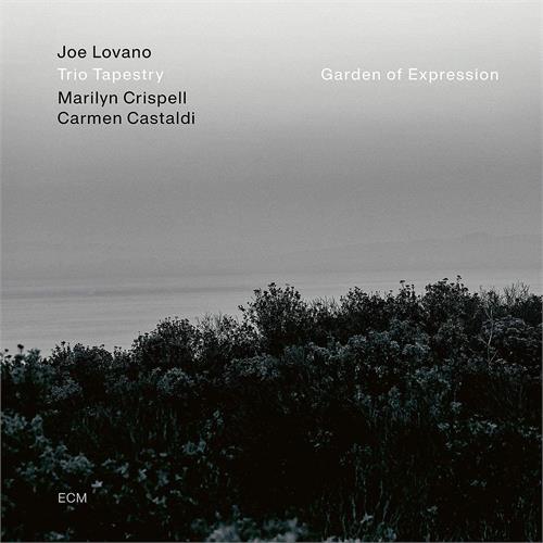 Joe Lovano Trio Tapestry Garden Of Expression (LP)